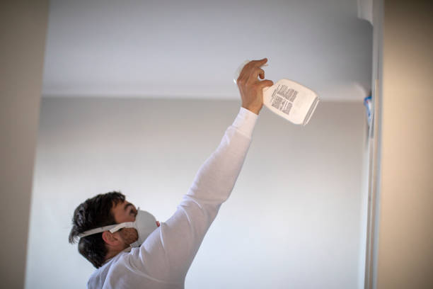 Best Mold Testing  in Oxon Hill, MD