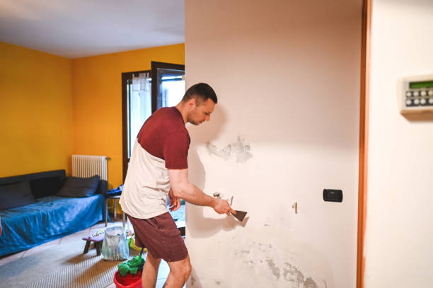 Best Commercial Mold Removal  in Oxon Hill, MD